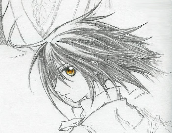 Vampire_Knight_by_EnseiSong.jpg